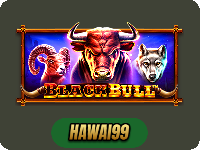 Black Bull