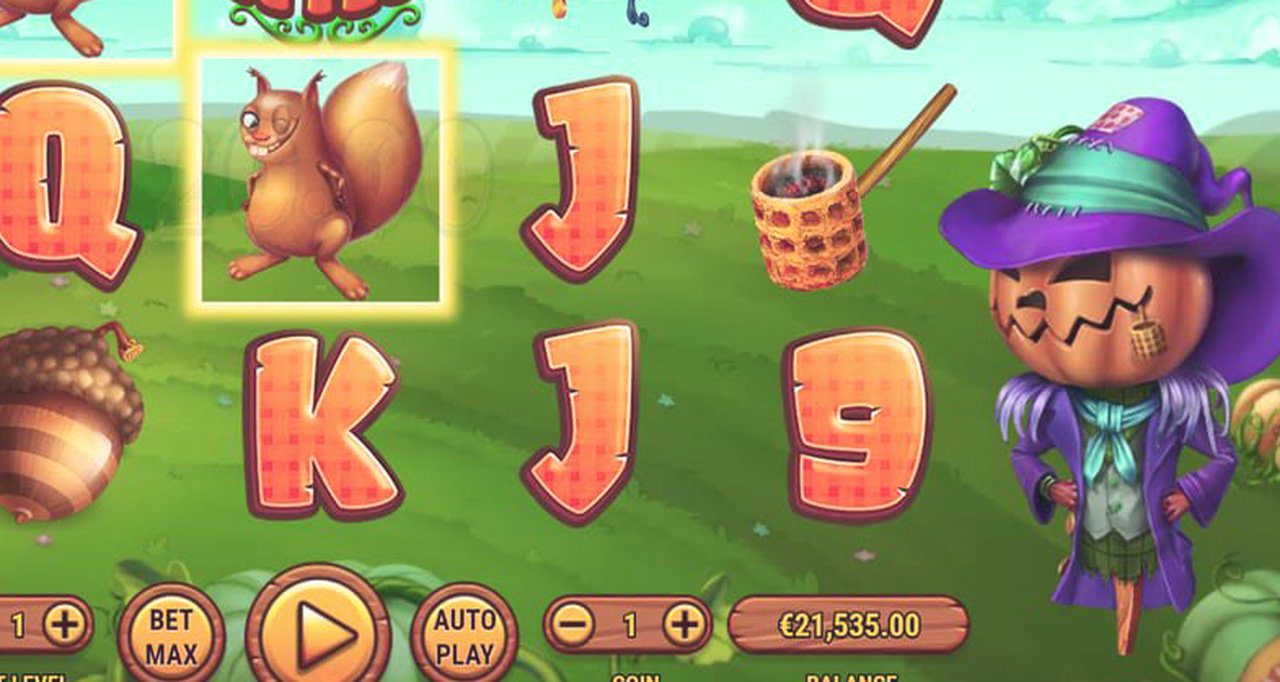 Pumpkin Patch · Tangkapan Layar Aplikasi HAWAI99